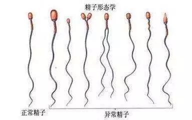 北京供卵试管婴儿医院价格