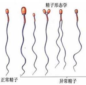 北京北大可以做赠卵试管婴儿