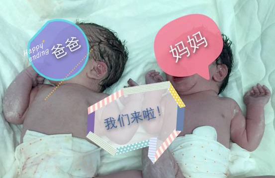 新农合做试管能报吗
