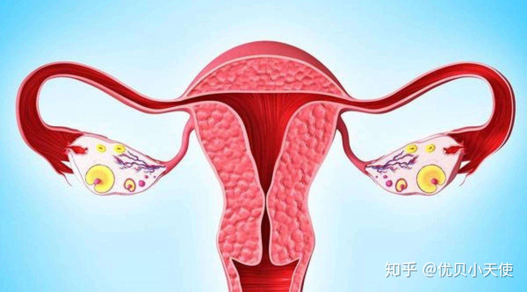 一代试管男孩多还是二代试管男孩多？
