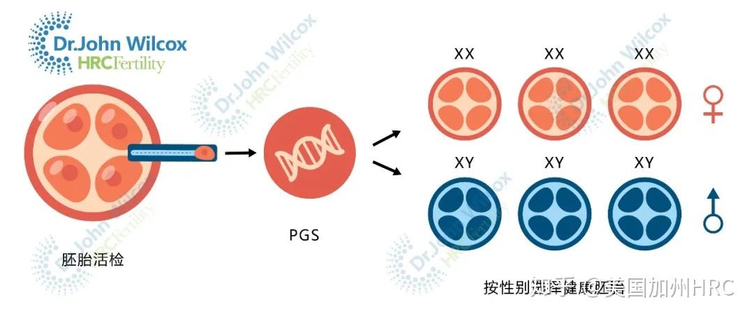 北京第三代代生孩子那是最好技术能解决染色体异常吗？