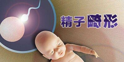 北京二院非凡孕育试管代怀费用大概需要多少钱？