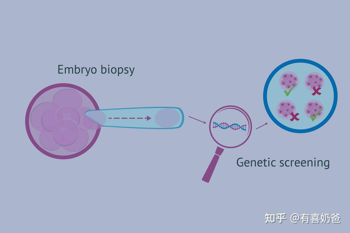 备孕女性身体需满足什么条件才能打促排卵针剂？
