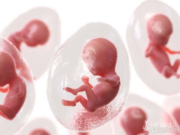 女性输卵管堵塞可以代怀包生男孩套餐婴儿吗