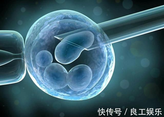 北京市精子库申请