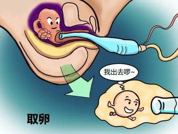 什么时候受孕容易生儿子（100%怀男孩的秘诀汇总）