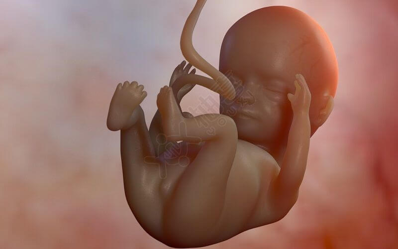 巧克力囊肿患者可以做北京在国外找人代生违法吗吗