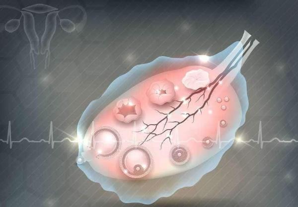 精子畸形率高做二代试管+精子畸形率高试管代怀公司哪家便宜一代还是二代