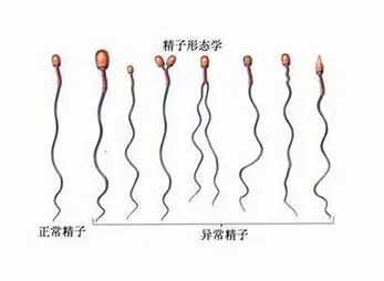 2024北京圣德医院供卵试管代怀排名费用明细表,预算3
