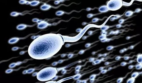 北京省妇幼供卵助孕私立医院婴儿多少钱